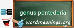 WordMeaning blackboard for genus pontederia